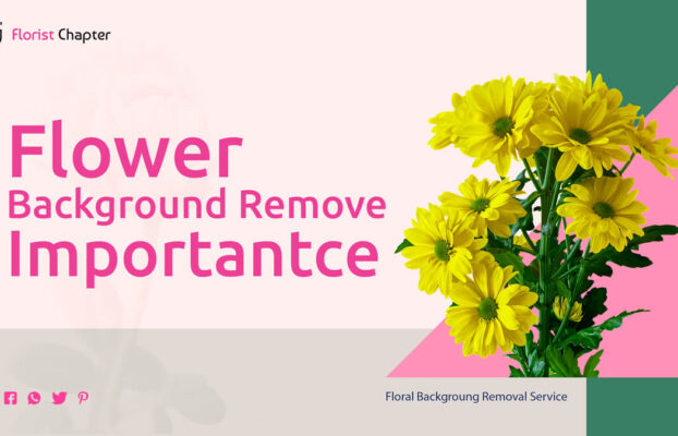 Why Flower Background Remove Is Important For Floral Business