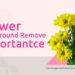 Why Flower Background Remove Is Important