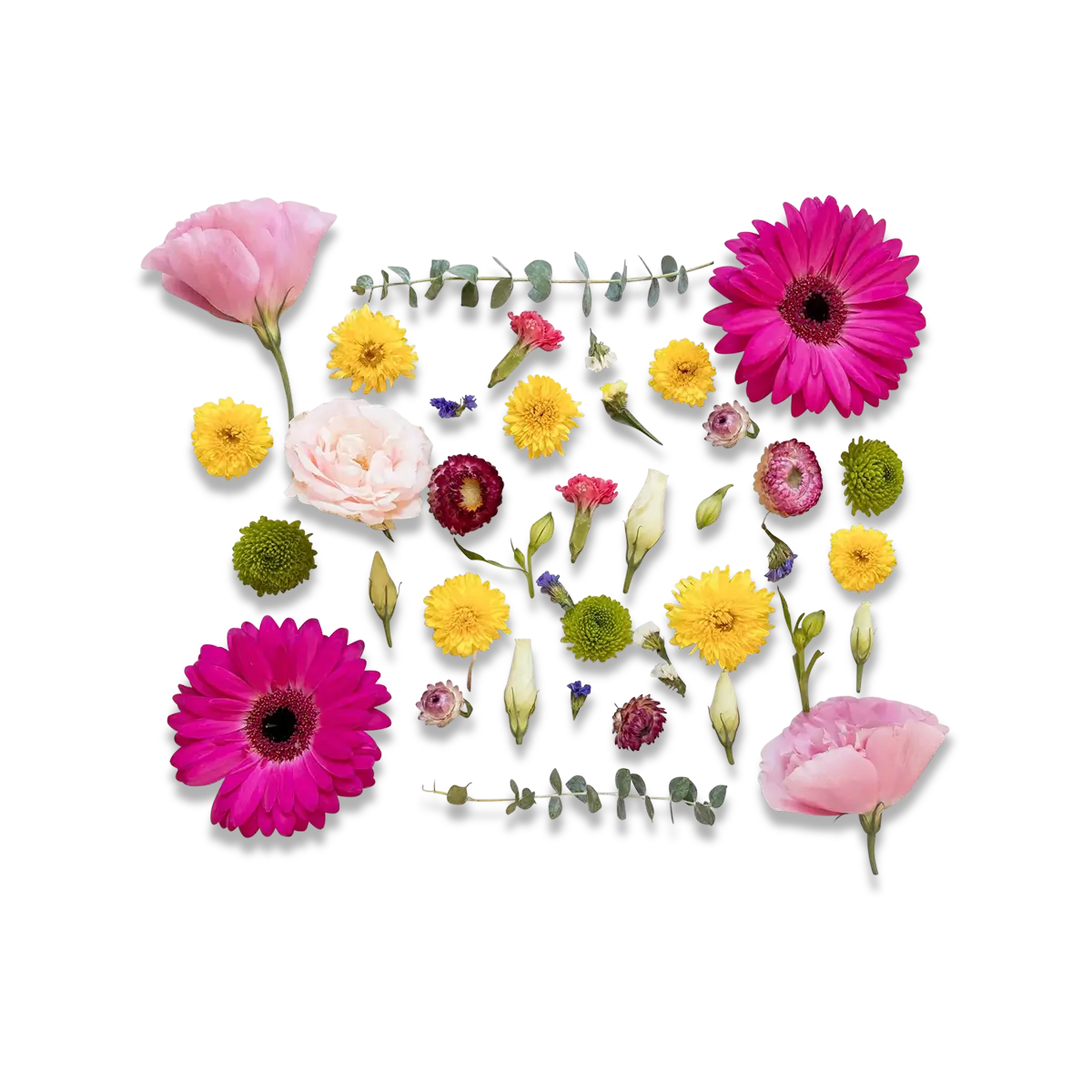 Image link