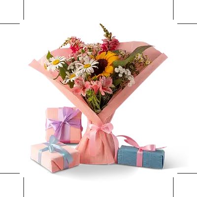 Image link