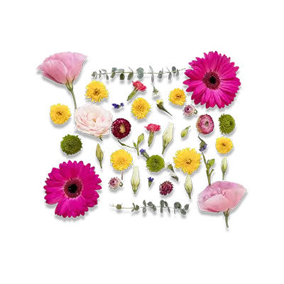 Image link