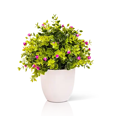 Image link